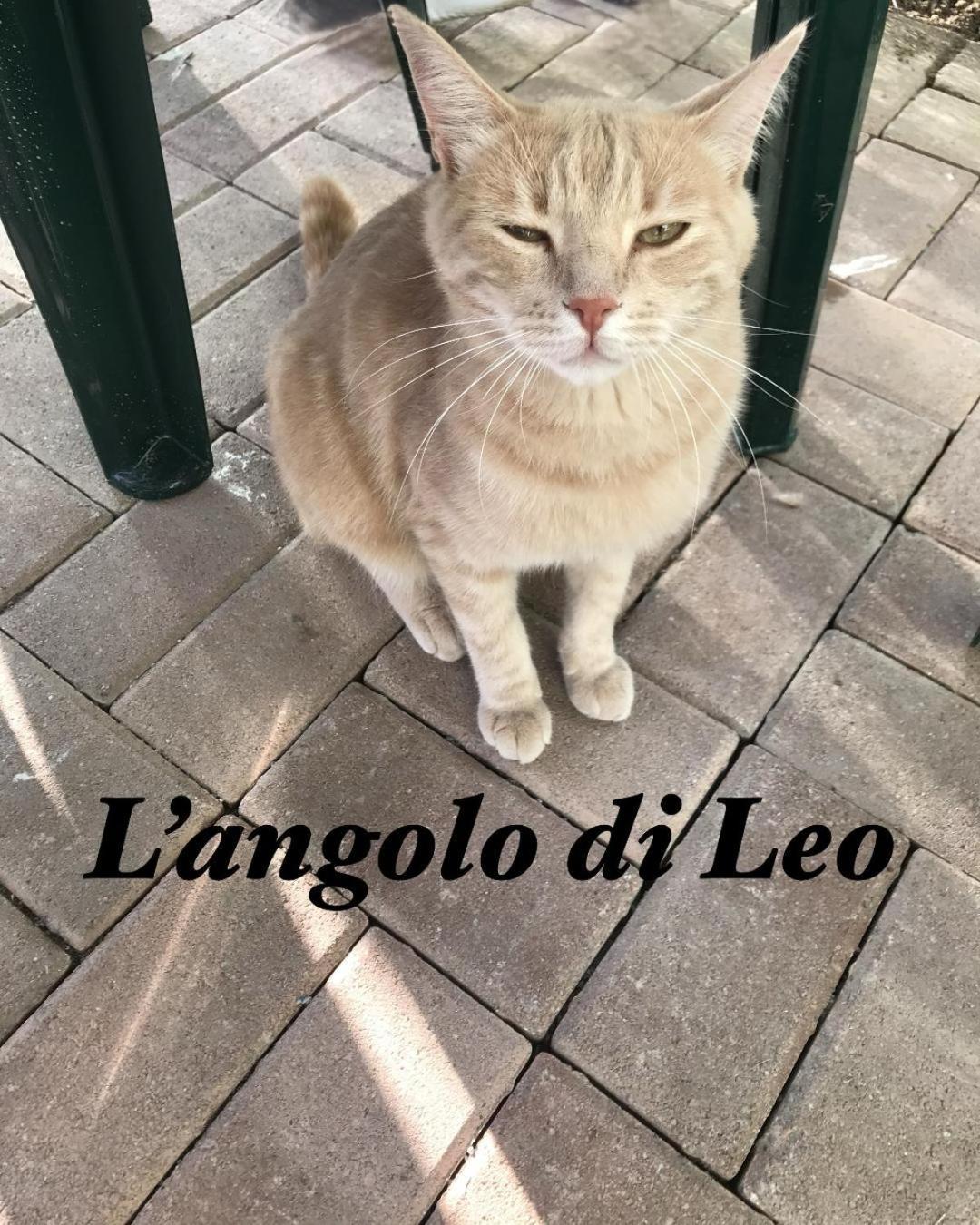 L'Angolo Di Leo Borgofranco d'Ivrea Exterior photo